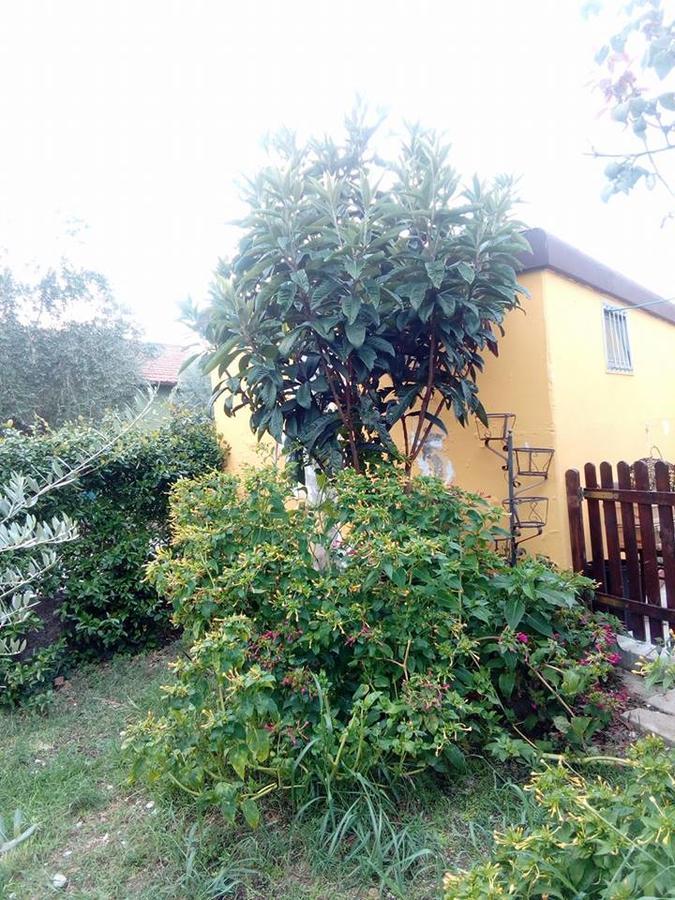 Beb Da Tina Bed & Breakfast Roccasecca Екстериор снимка